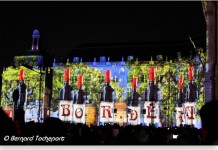L’immense succès de « Bordeaux fête le vin » !