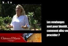 Après le 15 juin 2010, le Var pourra-t-il revoir la vie en rose ? Adeline de Barry