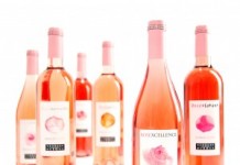 Fruités, gourmands, savoureux, vous allez aimer les rosés de Georges Duboeuf