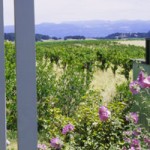 carneros vue terrasse