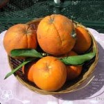 panier oranges