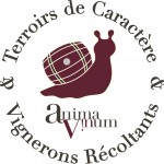 logo anima vinum