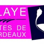 BLAYE logo