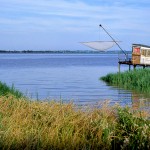 Carrelet-en-bord-d-Estuaire