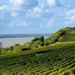 châteaux vignoble_bourg