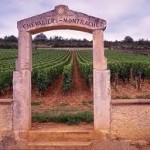 bourgogne montrachet