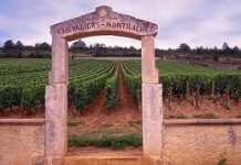 Découvrez la Bourgogne autrement, à pied ou à vélo tout en dégustant ….