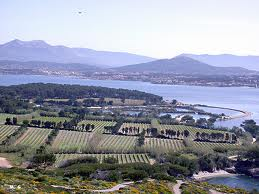 ile des embiers vignes