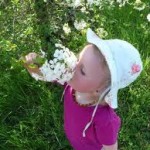 aromes du jardin enfance