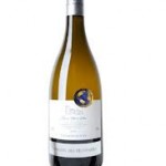 chardonnay Alignan du vent