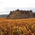 clos vougeot automne