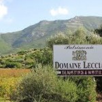 Corse Domaine Leccia