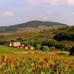 beaujolais vue