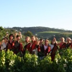 etoiles beaujolais