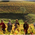 etoiles en beaujolais