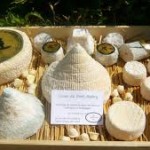 fromages et vins 4