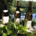 saint Peray 3 bouteilles