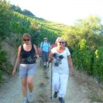 cornas marche dans les coteaux