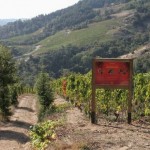 cornas.sentier