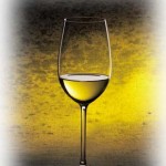 fromages et verre de vin seul
