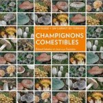 guide des champignons