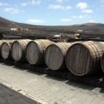 lanzarote vignobles
