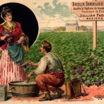 bouillie-bordelaise1