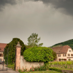 colette domaine-weinbach-alsace-grand-cru-winzenberg