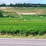 article villages Cote-de-Nuits_01