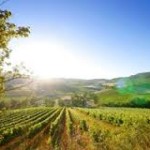 article Vallée de L’Aude G.Bertrand
