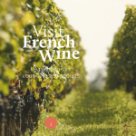 french wine visite