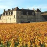 clos de Vougeot vignes