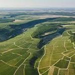 vignoles-bivb-bourgogne