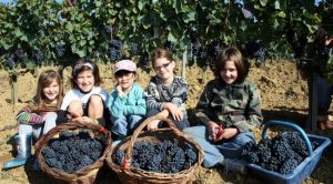 photos-enfants-vignes