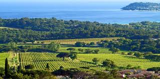 vignobles-st-tropez