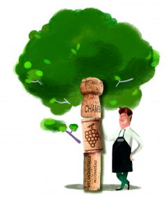 nicolas-illustration_dd_arbre_