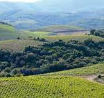 faugres-vue-du-vignoble