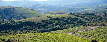 faugres-vue-du-vignoble