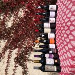 mons-2019-tous-les-vins-nappe-rouge