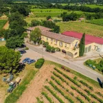 vignoble vente 6