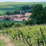 correze village et vignes